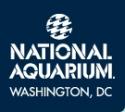 dc aqua.jpg dc aqua.jpg
