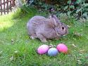 easter.jpg easter.jpg