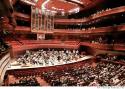 philorch.jpg philorch.jpg