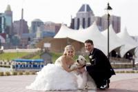 Dog Friendly Hotels for Fido and his Traveling Parents