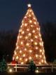 NationalChristmasTreeblog.jpg